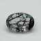 Black Rotile  6.05 Ct Best Quality 